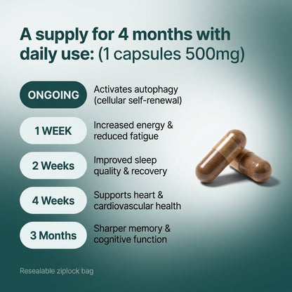 Spermidine 120 cápsulas 500mg
